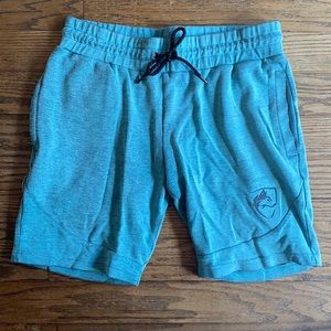 Alphalete V3 shorts - teal